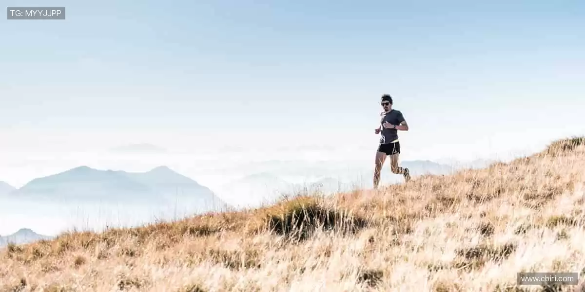 🏀 巅峰之战,不容错过!全球赛事同步直播,零时差感受速度与激情!