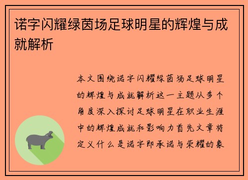 诺字闪耀绿茵场足球明星的辉煌与成就解析